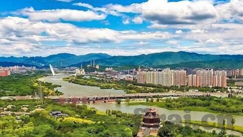 麻豆-传媒app-揭开网络娱乐的迷雾，麻豆-传媒app的互动世界