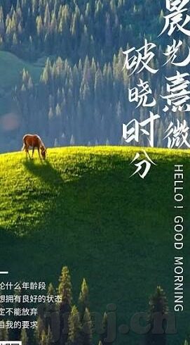 日韩av一在线观看-探索成人娱乐内容的边界与影响，理性视角下的网络文化